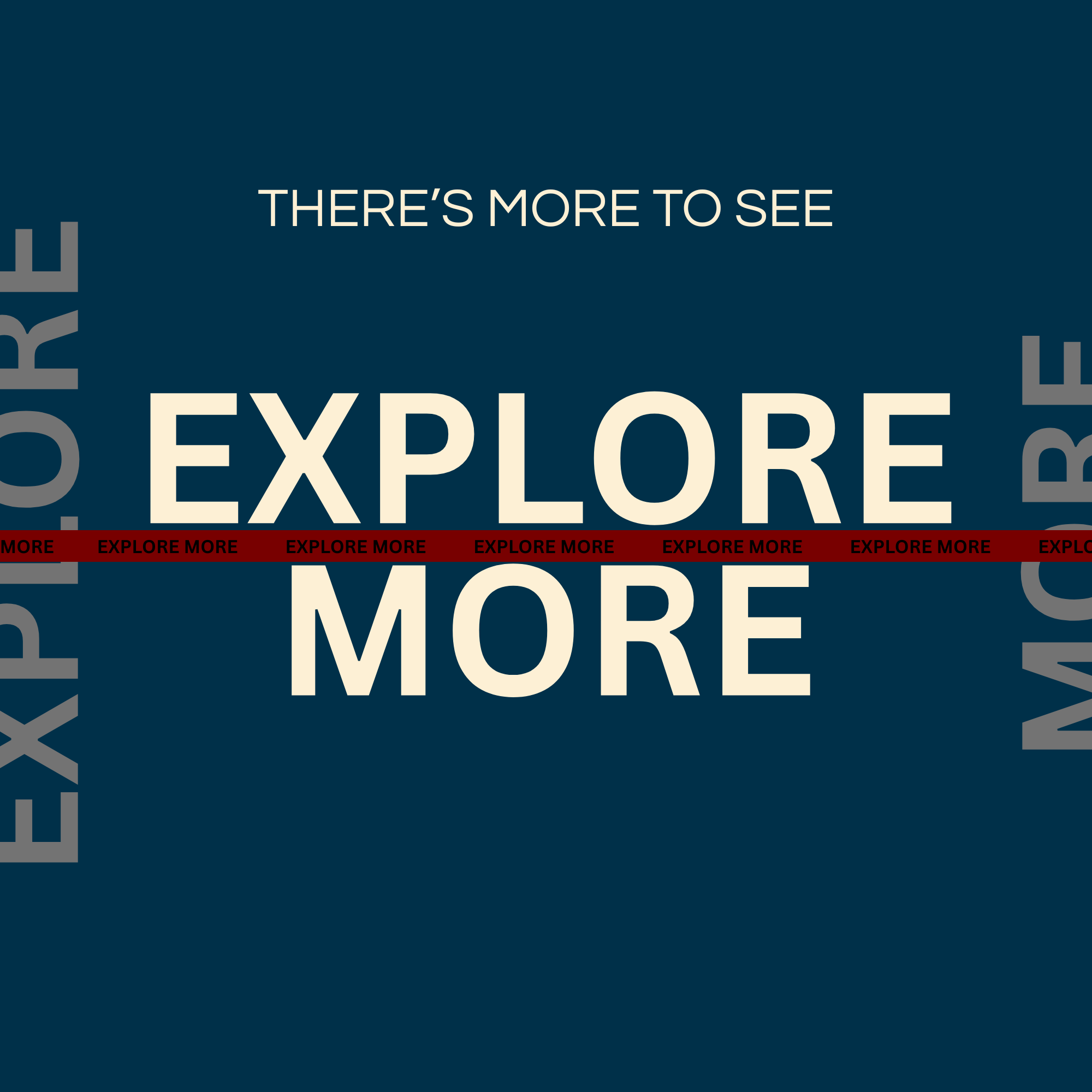 Explore More Projects